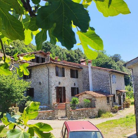 Cara House Tuscany - Zona Lucca Chiatri Екстериор снимка