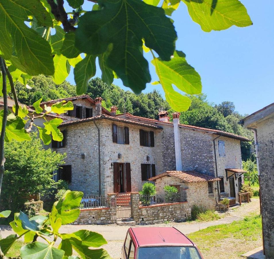 Cara House Tuscany - Zona Lucca Chiatri Екстериор снимка