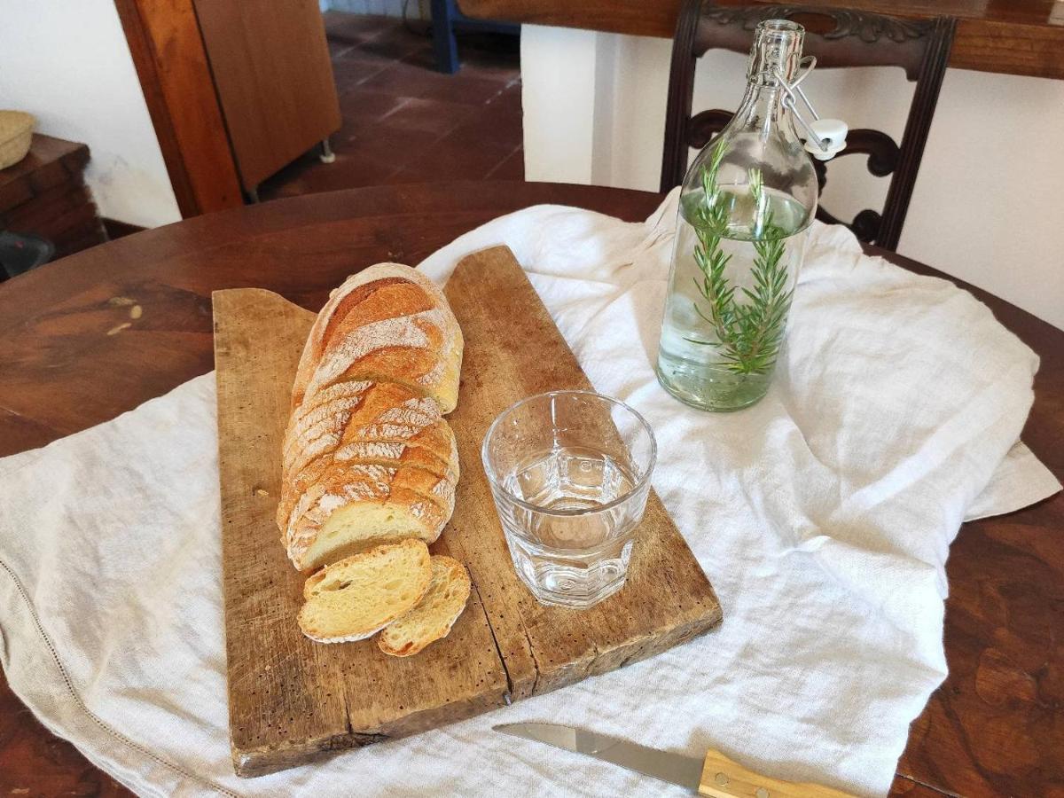 Cara House Tuscany - Zona Lucca Chiatri Екстериор снимка